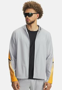 Unausgewählt, mod gray