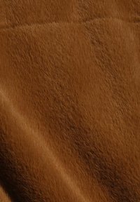 Gros plan d'un pelage court, lisse, brun rougeâtre avec une texture naturelle et un reflet subtil de lumière.