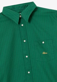 Camicia verde con bottoni, a righe blu sottili, colletto a scialle e tasca con ricamo dorato della scritta "Blkvis." Realizzata in cotone.