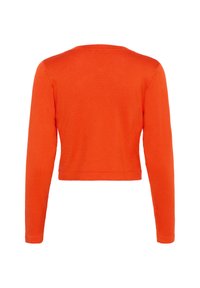 Maglione a maniche lunghe, tagliato, di un vivace arancione. Tessuto morbido con scollo rotondo e orlo semplice. Nessun motivo o accessori aggiuntivi.