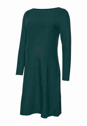 Zaļa gara piedurkņu kleita, izgatavota no mīksta auduma, ar laivu formas izgriezumu, A formas siluetu un sānu šķēlumiem, lai atvieglotu kustību.