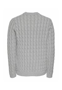 Pull en maille torsadée gris clair avec des manches longues et des poignets et un ourlet côtelé, présenté de dos sur un fond blanc.