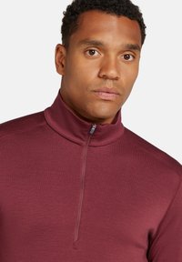 icebreaker M 260 TECH LS  - Langarmshirt - port