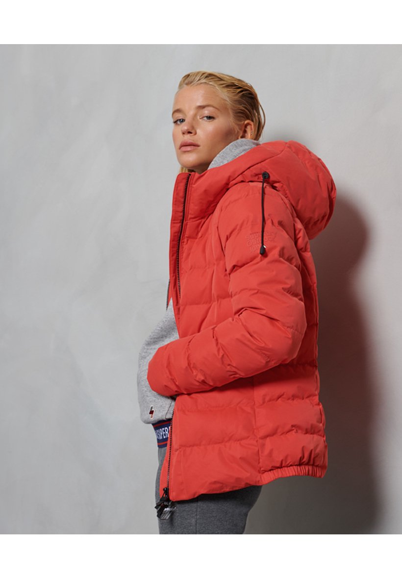 Superdry BOSTON - Chaqueta de invierno - high risk red/rojo - Zalando.es