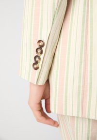 Manica di un blazer a righe in tonalità crema, rosa e verde, con quattro bottoni marroni sul polsino. Texture liscia con taglio sartoriale.
