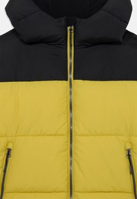 Icepeak KENMARE UNISEX - Vinterjakke - olive