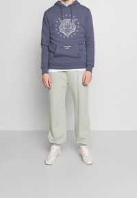 Felpa blu con grafica di una tigre e stelle, abbinata a jogger verde chiaro. Entrambi realizzati in tessuto morbido, presentano una vestibilità comoda e polsini elasticizzati.