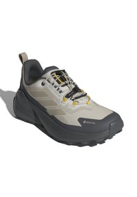 Adidas Terrex TRAILMAKER 2 GORE-TEX NATGEO - Joggesko - orbit grey beige grey five