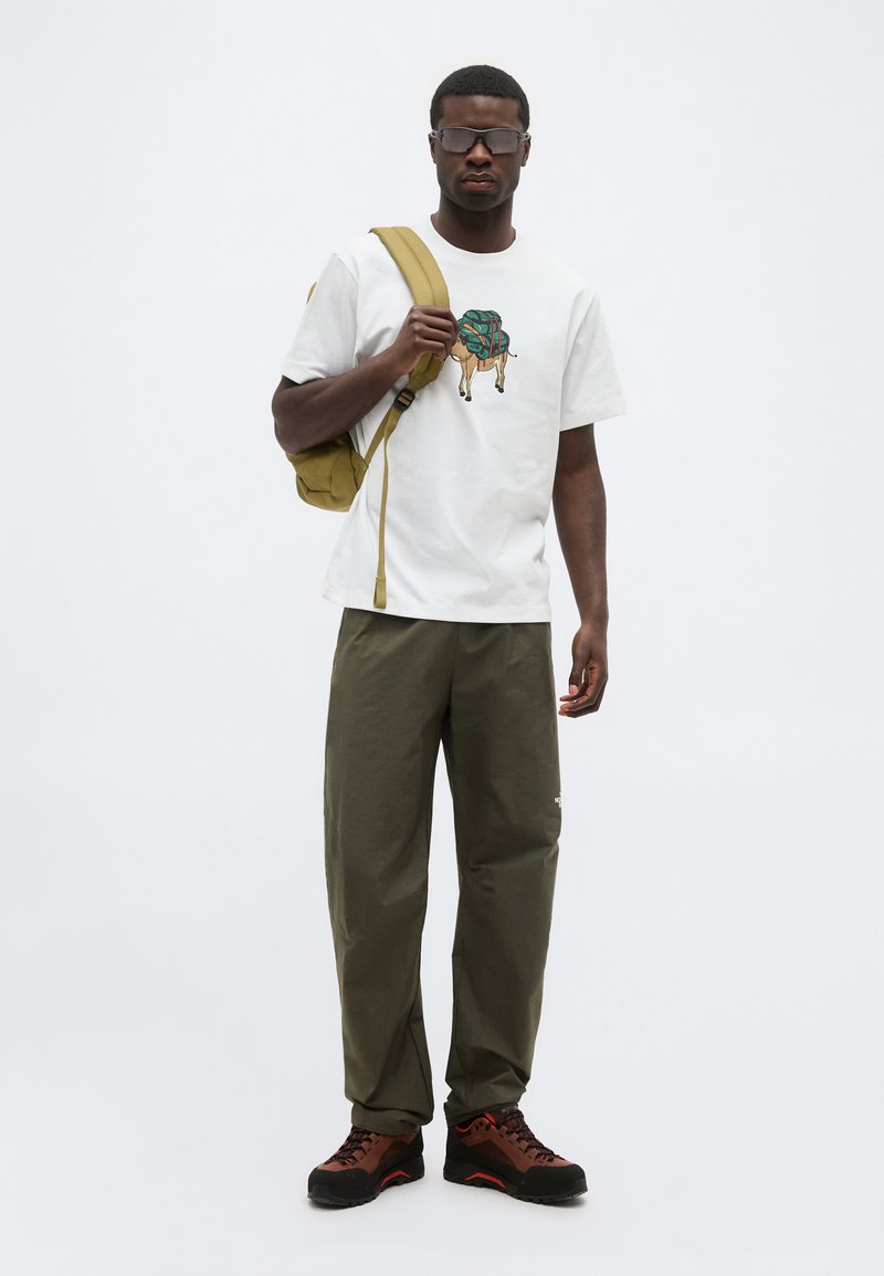 The North Face DONKEY TAXI RELAXED SHORT SLEEVE TEE GRAPHIC - Triko s potiskem - white