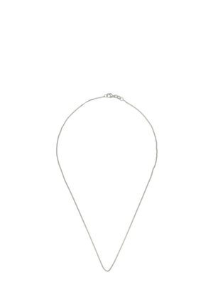 Sottile collana a catena d'argento con una piccola chiusura a moschettone, esposta su sfondo bianco.