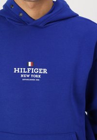Modrá mikina s kapucí s malou červeno-bílo-černou vlajkou nad bílým nápisem "HILFIGER NEW YORK ESTABLISHED 1985" na hrudi.