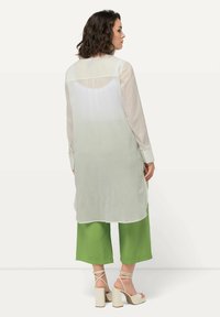 Langes, hellgrünes und weißes, plissiertes Tunika-Shirt aus durchsichtiger Stoffqualität mit langen Ärmeln und leicht abgerundetem Saum, kombiniert mit weiten grünen Hosen.