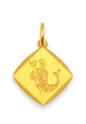 STERNZEICHEN WASSERMANN  - Ciondolo - gelbgold