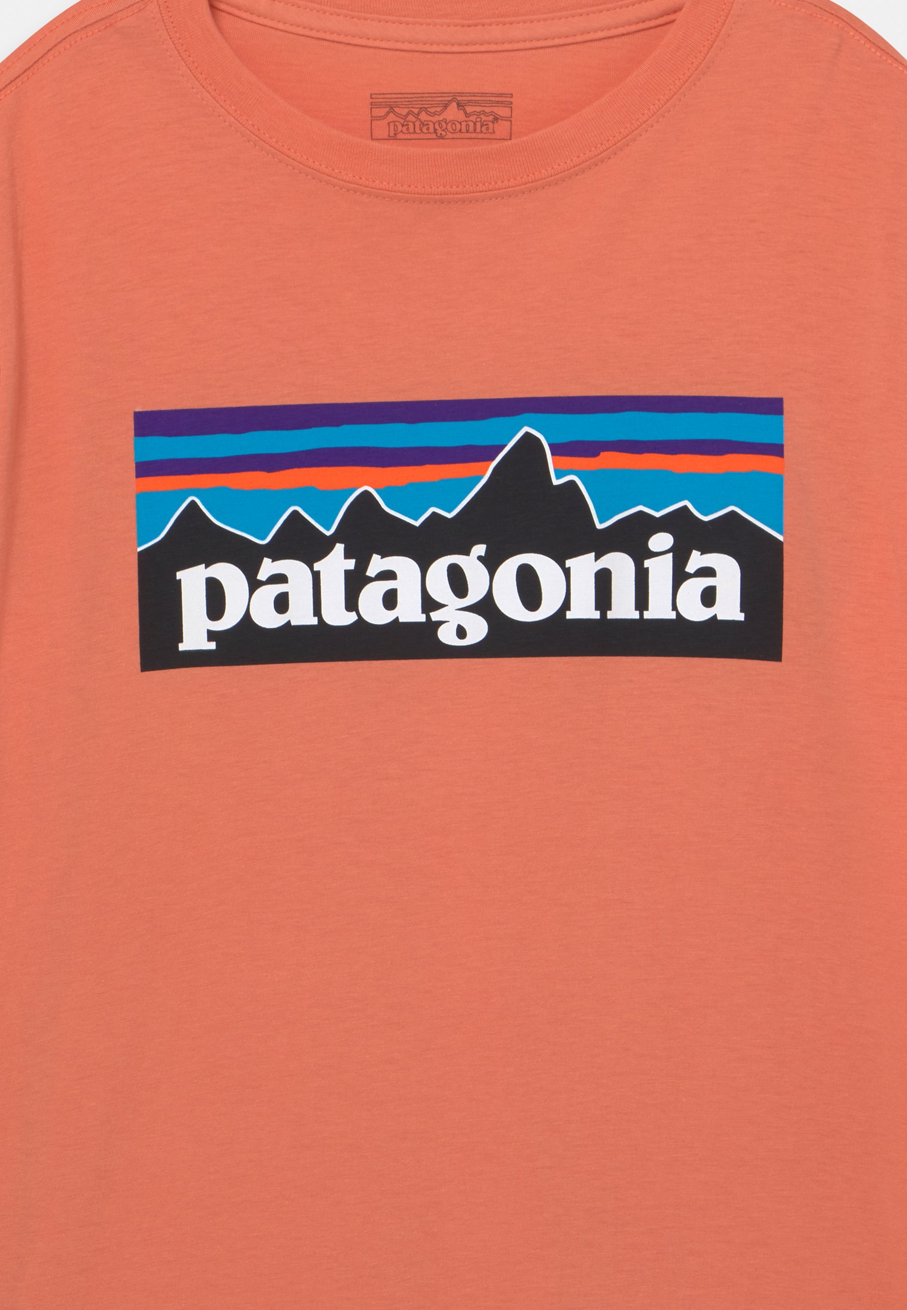 Patagonia BOYS LOGO - Print T-shirt 