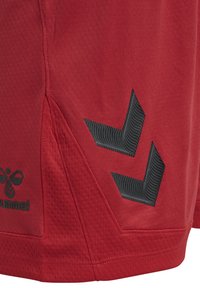 Röda sportshorts med ett mesh-mönster, som har lutande svarta detaljer och en logotyp på vänster sida. Designen inkluderar en sidopanel.