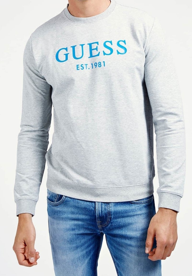 Guess Sudadera - light grey