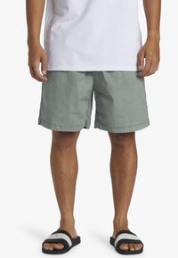 Quiksilver Shorts - glw