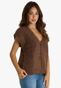 Gilet marrone peloso con scollo a V, maniche corte e chiusura con bottoni. Texture morbida e vestibilità comoda, abbinato a jeans blu.