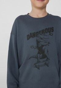 Tmavě šedá mikina s potiskem dinosaura na skateboardu, text "DANGEROUS REX", kulatý výstřih a žebrovaný lem.