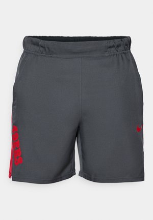 Pantaloni scurți atletici gri cu talie elastică, având textul roșu "49ERS" pe lateral și un logo Nike roșu în față. Textură netedă.