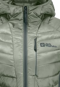 Jack Wolfskin Zimní bunda - green