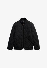 Seleccionado, meteorite black