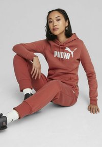 Puma LOGO HOODIE - Felpa con cappuccio - astro red