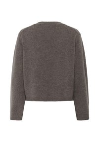 Szary, krótki sweter wykonany z miękkiej dzianiny. Posiada długie rękawy, okrągły dekolt i gładką teksturę z minimalnymi detalami.