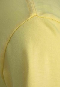 JJXX JXANNA EVERY TEE - Camiseta básica - elfin yellow