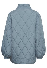 Veste matelassée bleu clair avec coutures en losange, col montant et longues manches bouffantes avec poignets élastiques vue de dos.