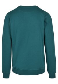Sweatshirt à manches longues col rond de couleur sarcelle, vu de dos avec poignets et taille côtelés, uni sans logos ni motifs visibles.