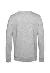 Grå sweatshirt med långa ärmar, rund halsringning, ribbade ärmslut och nederkant. Gjord av mjukt tyg med en slät yta. Enkel design.