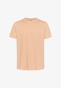 Unausgewählt, shell coral