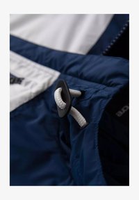 Niewybrane, green and navy blue