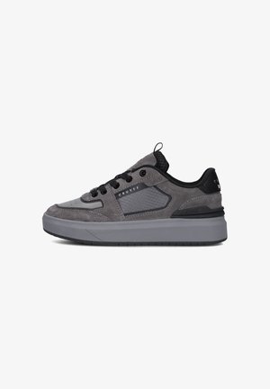 Grijze suède sneaker met mesh accenten, zwarte veters en een gevoerde grijze zool. Heeft een getextureerd zijpaneel en een achtertab voor gemakkelijk aantrekken.