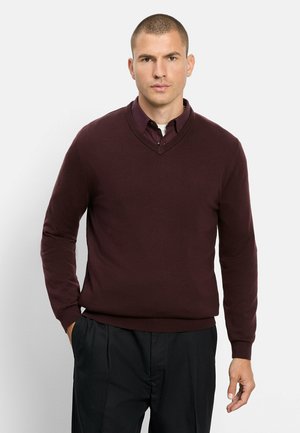 Homme aux cheveux courts portant un pull à col en V bordeaux foncé par-dessus une chemise à col et un pantalon noir, debout avec une main dans la poche.