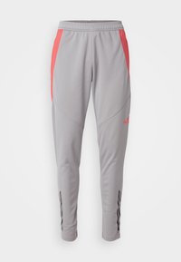 TIRO 24 COMPETITION WINTERIZED - Jogginghose - light onix/shock red