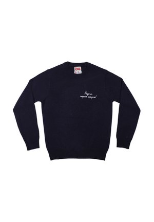 Pullover - blu