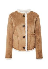CAYLIN - Giacca invernale - nut brown