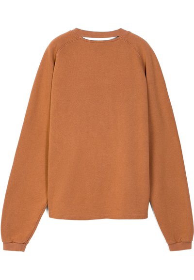 Brown cotton sweatshirt with long sleeves, crew neckline, and a relaxed fit. Smooth texture with minimal stitching detail.