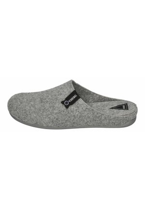 EAGLE FIELTRO PET - Slippers - gris