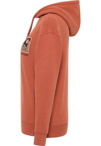 Sudadera de color óxido con un diseño gráfico frontal que presenta montañas y vegetación. Cuenta con capucha con cordones y puños y dobladillo acanalados.