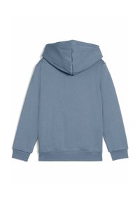 Sweatshirt à capuche en tissu bleu doux, avec un design au dos, une capuche centrée, des manches longues et des poignets côtelés.