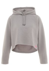 Under Armour Jersey con capucha - grey