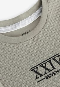 Next EMBROIDERY TEXTURED SHORT SLEEVE - REGULAR FIT - Apdrukāts T-krekls - cement natural