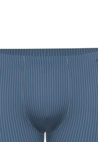 Slip da uomo a righe blu con una trama liscia e un elastico in vita. Le righe verticali bianche creano un design classico.