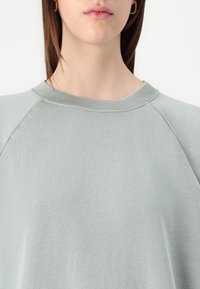 Felpa grigia chiara con scollatura rotonda e maniche raglan, realizzata in morbido tessuto di cotone, caratterizzata da una superficie liscia e un design minimale.
