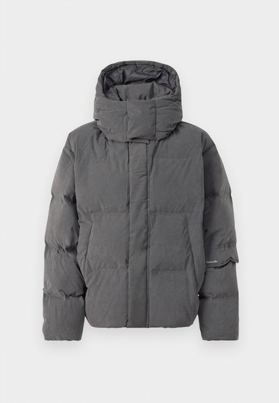 Pelēks izolēts pūkains jaka ar augstu apkakli un kapuci. Iespējams, ar quilted dizainu un sānu kabatām. Gluda tekstūra ar matētu apdari.