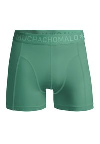 Zeleni boksarci iz mehkega, elastičnega materiala. Imajo širok pas z blagovno znamko in prileganje, ki je tesno, z gladko teksturo.