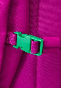 The North Face COURT JESTER UNISEX - Nahrbtnik - deep mulberry/dragonfruit